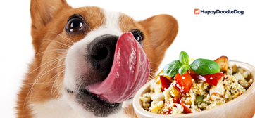 Dürfen Hunde fressen? Vorteile und Nachteile